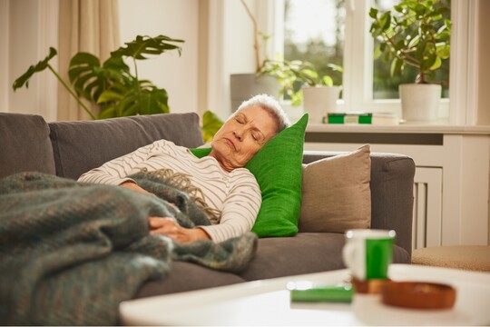 Ältere Frau liegt auf einem grauen Sofa im Wohnzimmer und schläft. Sie ist in eine gemusterte Decke eingewickelt und stützt ihren Kopf auf ein grünes Kissen. Im Hintergrund sind Pflanzen auf der Fensterbank sichtbar, die durch das einfallende Tageslicht beleuchtet werden.